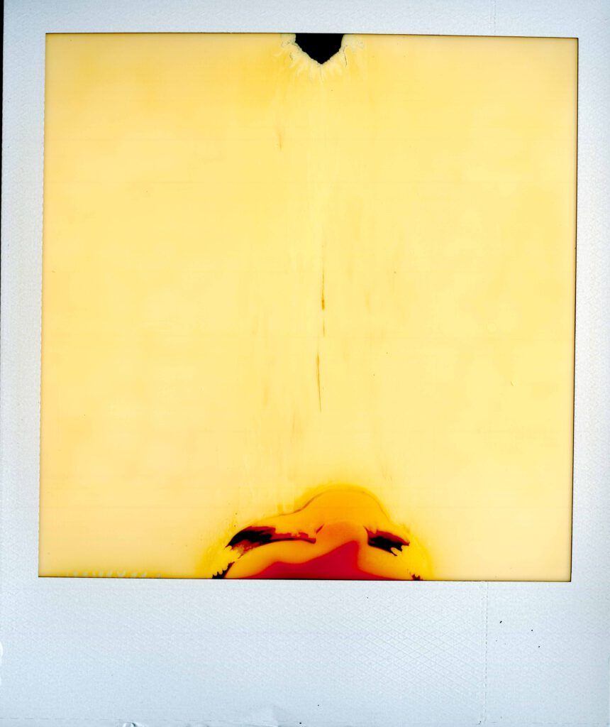 Polaroid passed expiration date, creating a rather abstract image. Number 15 of the beautiful failures project