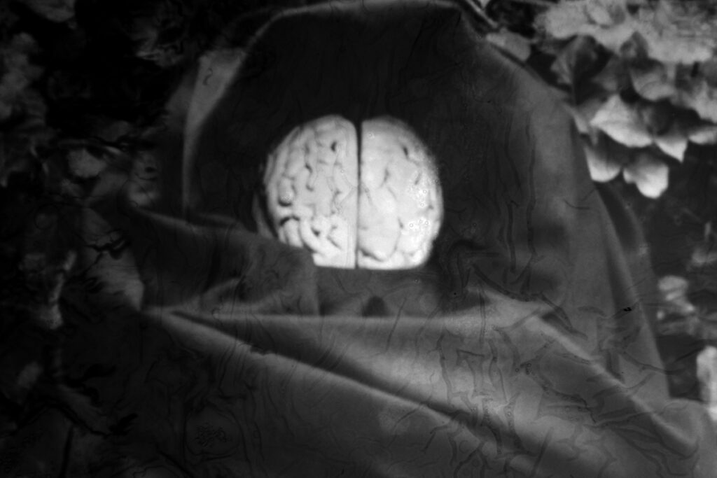 A frozen polaroid of a hooded brain